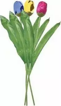 Čokoládový tulipán