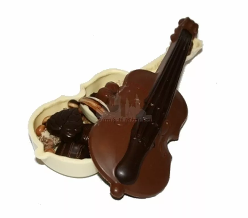 Housle plněné pralinkami