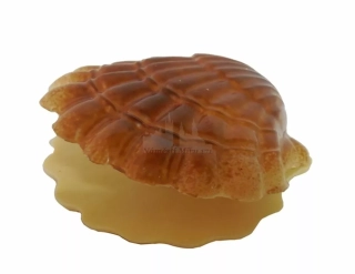 Mušle velká