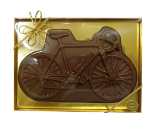 Bicykl