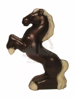 Kůň malý