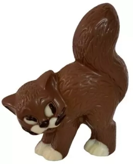 Kočka