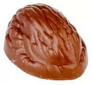 Vlašský ořech