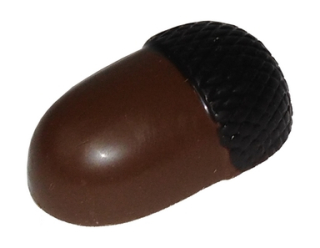 Žalud