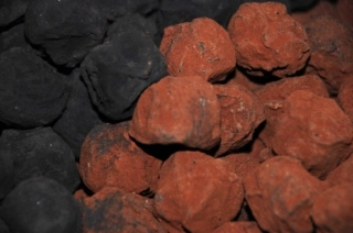 Praliné Truffles