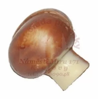 Žampion